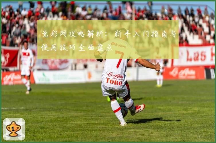 竞彩网攻略解析：新手入门指南与使用技巧全面盘点